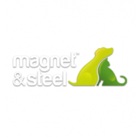 Magnet & steel